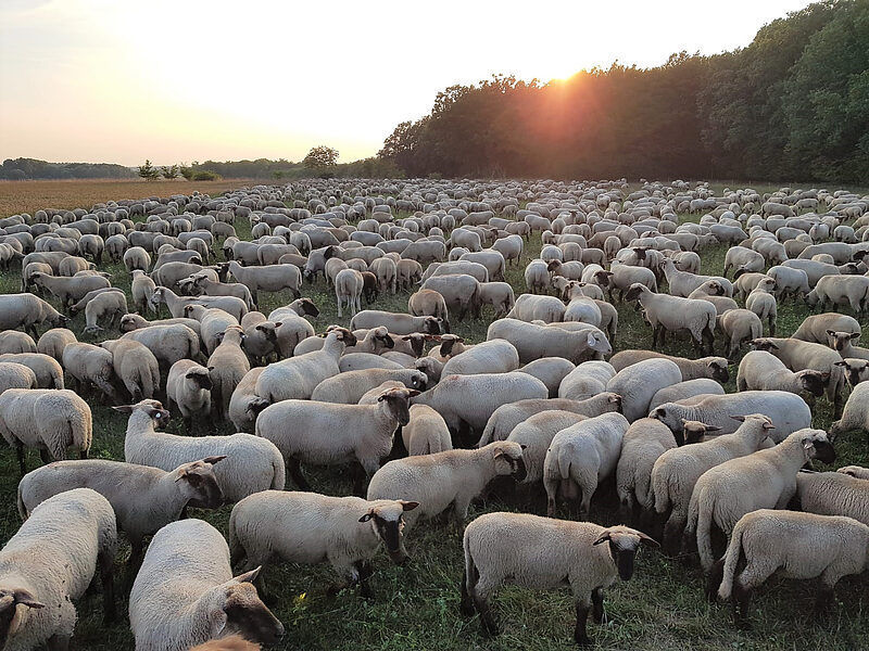 PM-057-2023-Wohlder-Wiesen ©Christof-Bokelmann.jpg
