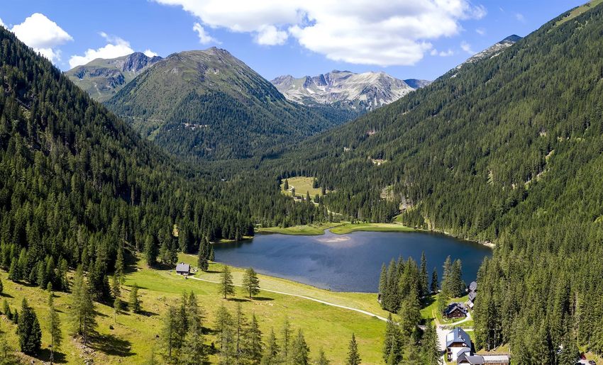 © Holzwelt Murau Tom Lamm.jpg