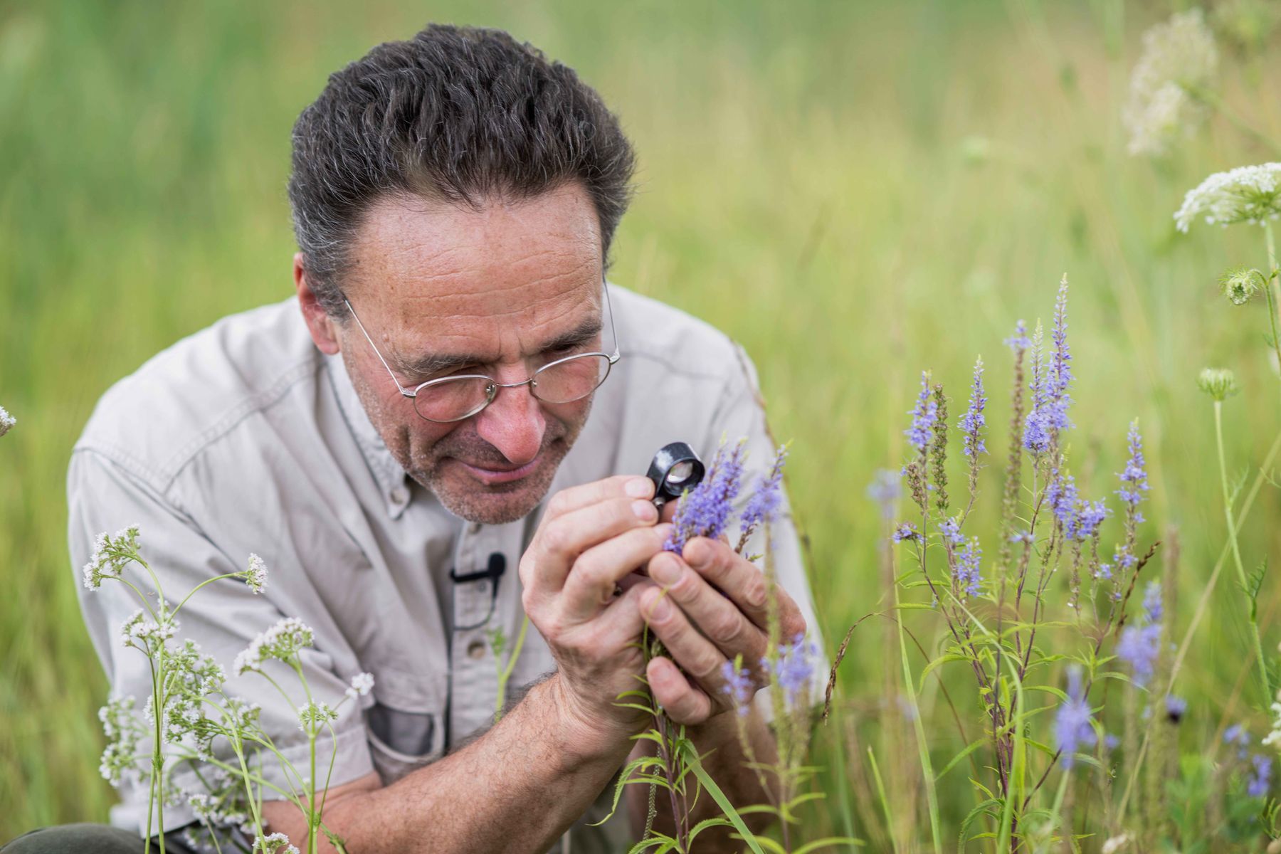 DSC 4324 Ausgleichsflächen ©Daniela Matejschek.jpg