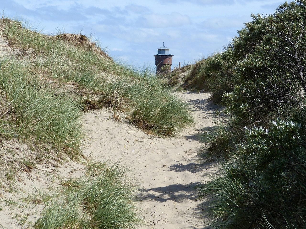 SanddünenBorkum.jpg