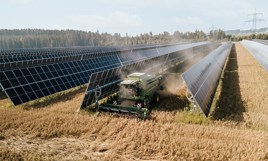 20250813 ernte sf pido nah.jpg