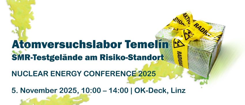 Konferenz in Linz.jpg