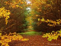 Picture-2.-Serrano Leon-Hernan-1536x1152.jpg