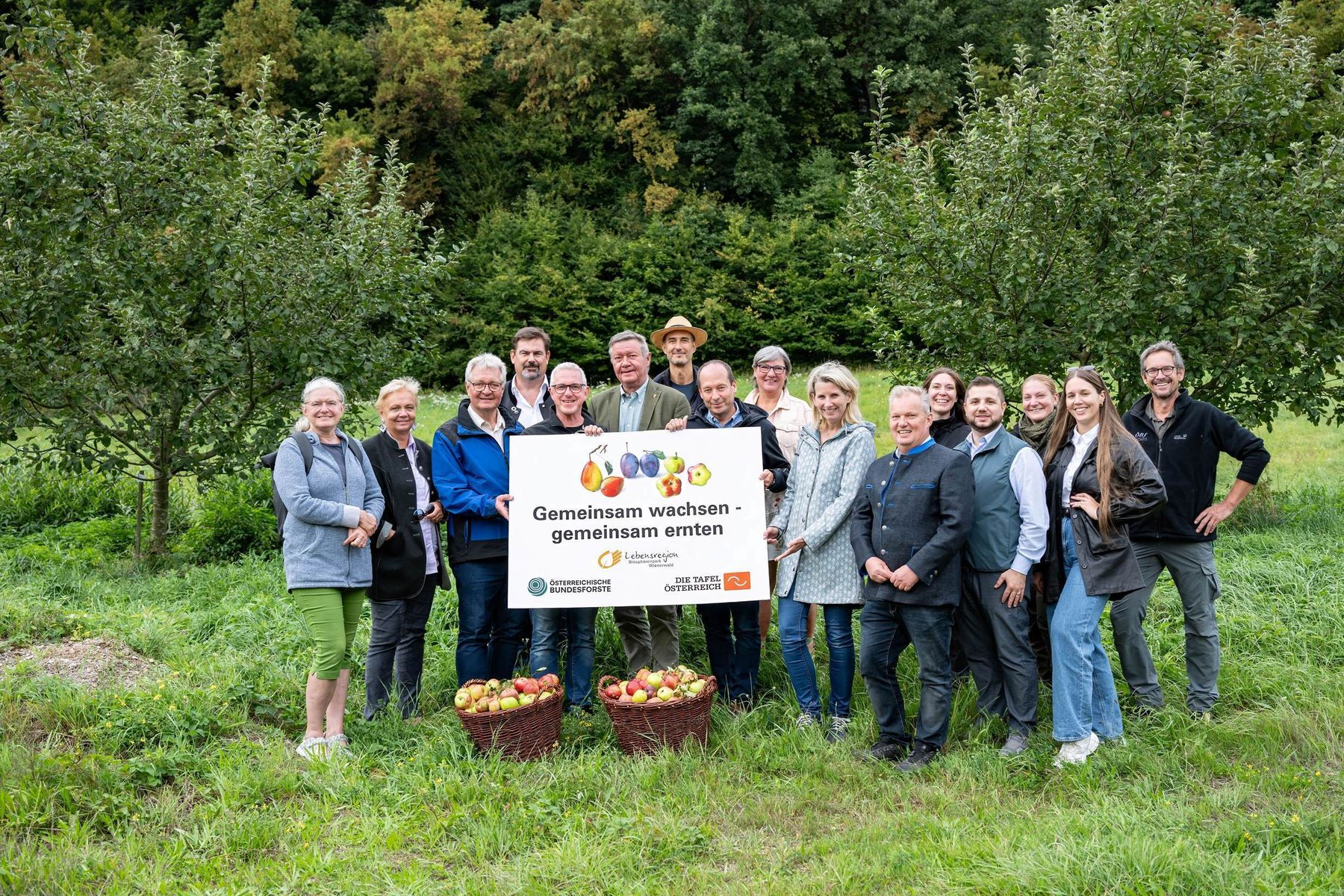 01 Streuobsternte Wienerwald  c oebf F.Helmrich.jpg