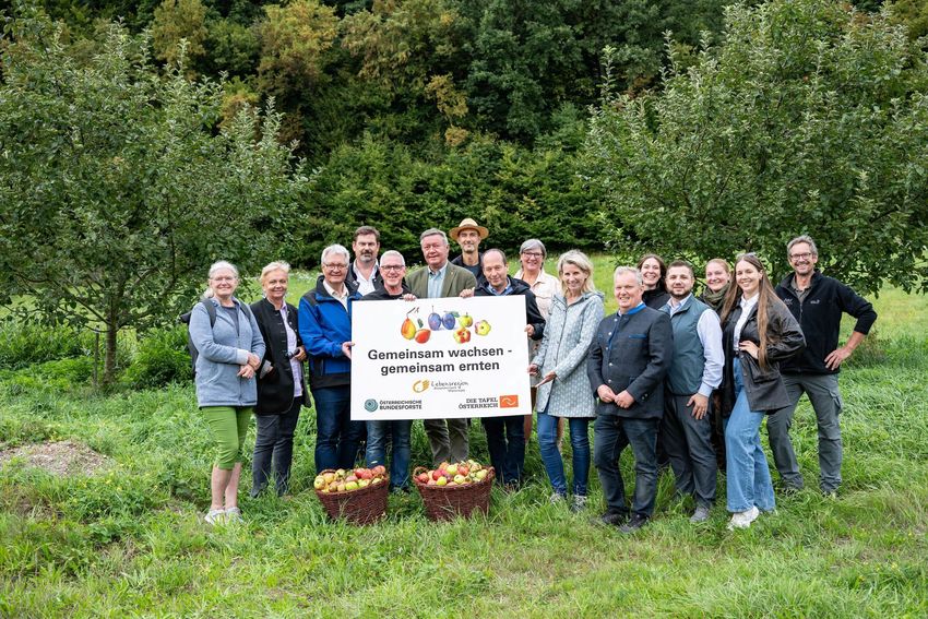 01 Streuobsternte Wienerwald  c oebf F.Helmrich.jpg