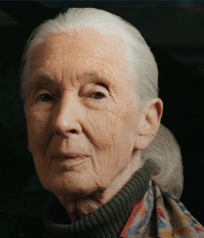 JaneGoodall.jpg