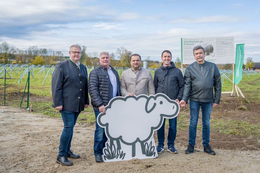 oekostrom BurgkirchenPv.jpg