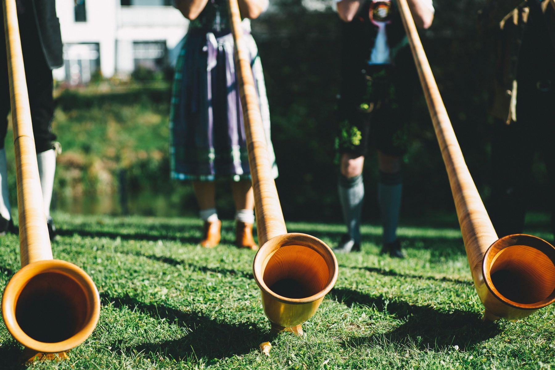 pexels-markusspiske-Alphorn.jpg