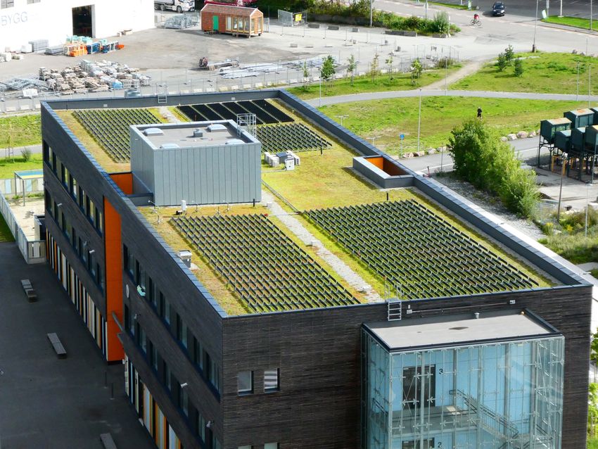 Green roof in Oslo with vertical solar panels 2 (1).jpg