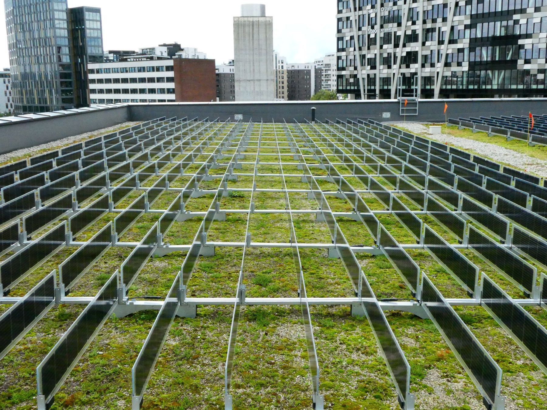 Vertical solar panels on green roofVertikaleModuleGründach.jpg