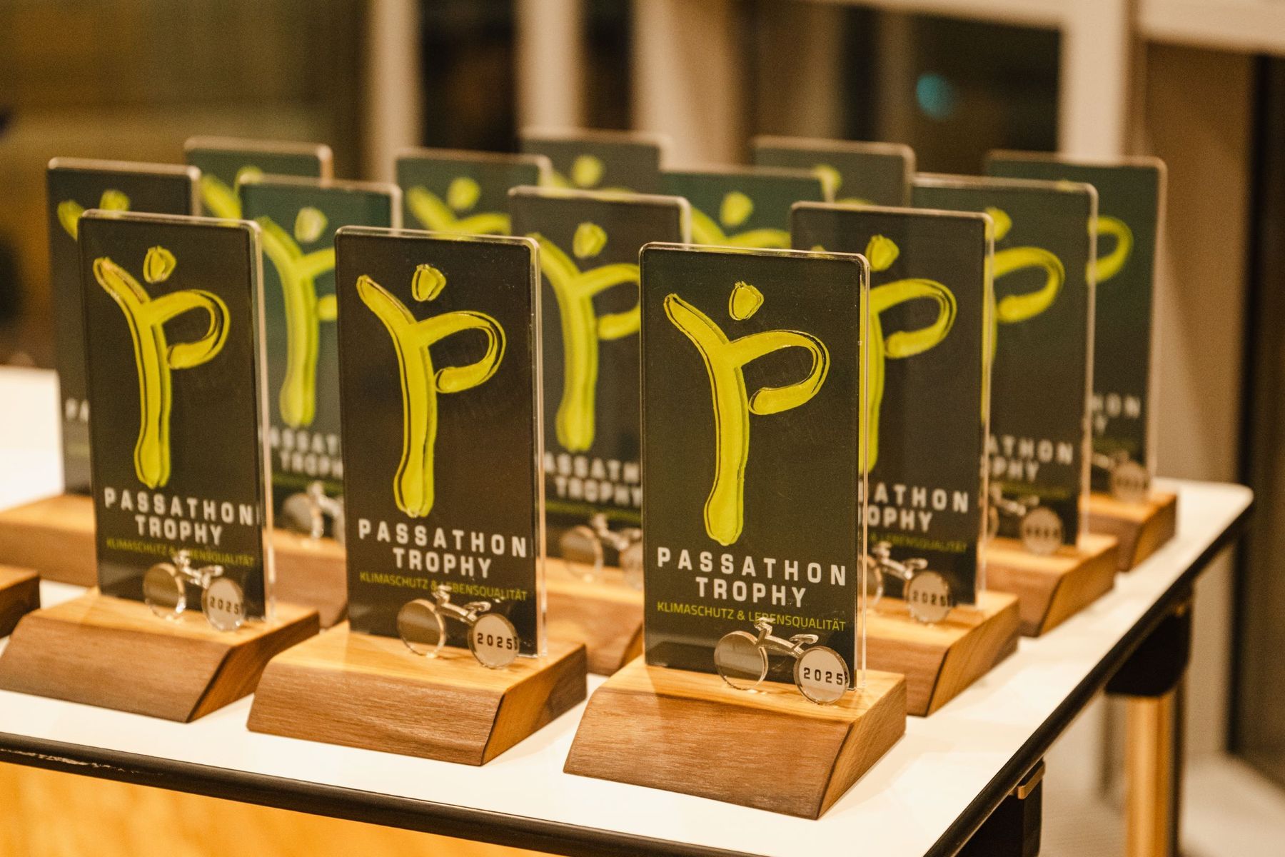 2025-11-10 17-59-DSC 7244-113-Passathon-Luiza Puiu.jpg