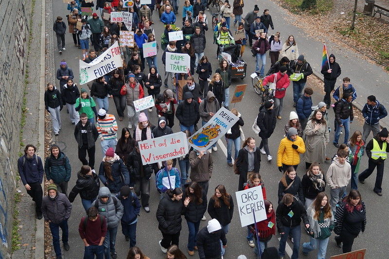 54923413544 e0ec85b933 c.jpg