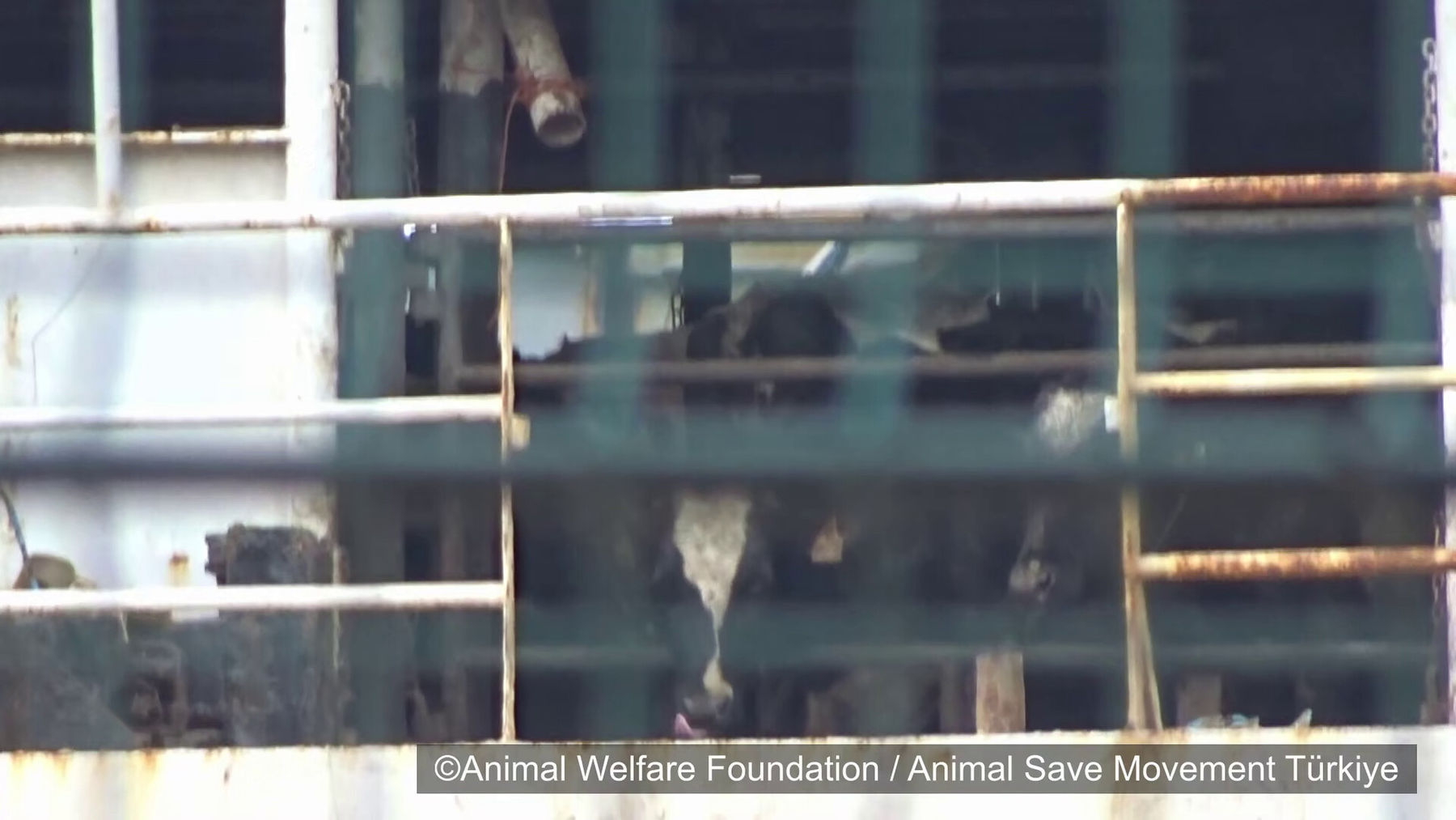 54922099319 63e23a4757 k.jpg