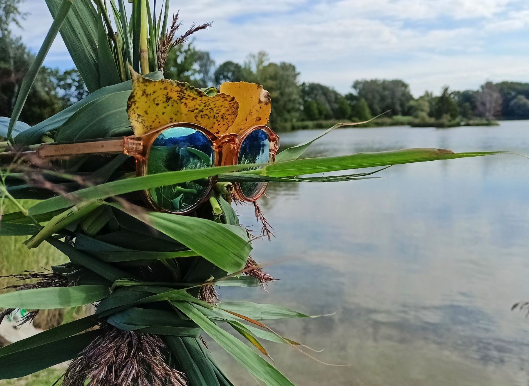 Top 1 Die wilde Hilde - Wächterin des Flusses Larissa Walzer.jpg