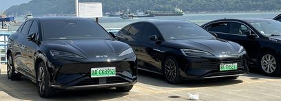 BYD Sea Lion 07.jpg