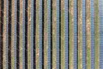 BungalarSolarFarm .jpg