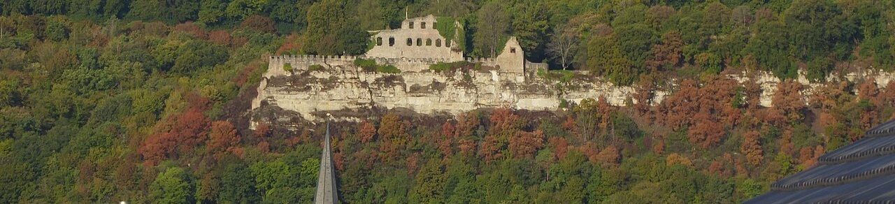 Dürreschäden Wald Karlsburg 2022.jpg