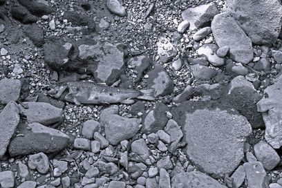 adege-dryness-3584463 1280.jpg