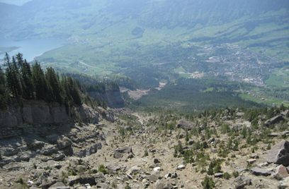 Felsabbruch Gnipen 2008.png