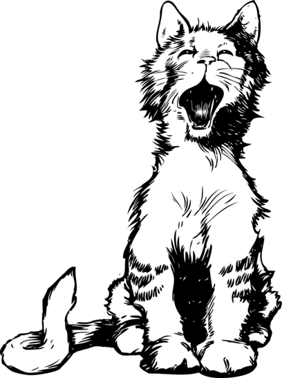 clker-free-vector-images-cat-30769 1920.png