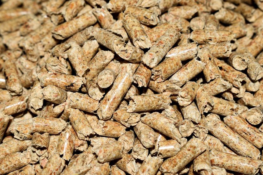 mrdidg-pellets-4844847 1920.jpg
