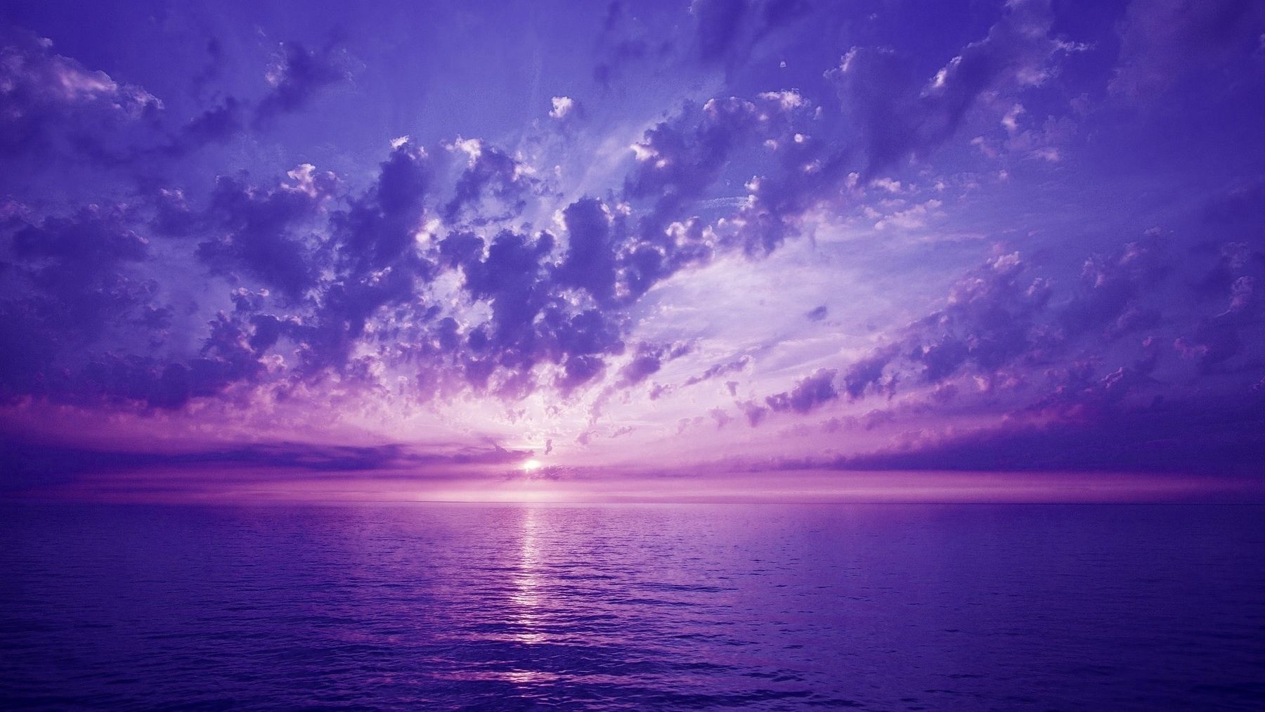 femava-purple-See.jpg