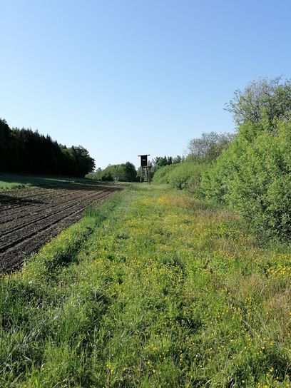 Foto 3 Vernetzung.jpg