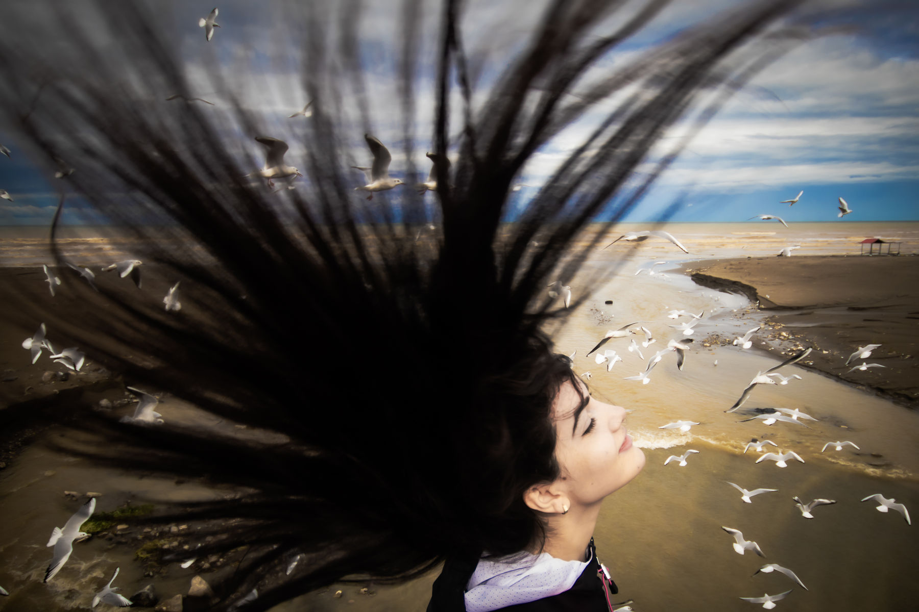 Mahdi Vaghari - No one can take my Soul.jpg