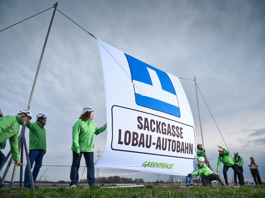 (c) Mitja Kobal   Greenpeace  Aktivist innen protestieren gegen Lobau-Autobahn.jpg