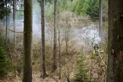 Waldbrand.jpg