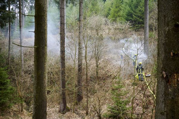 Waldbrand.jpg
