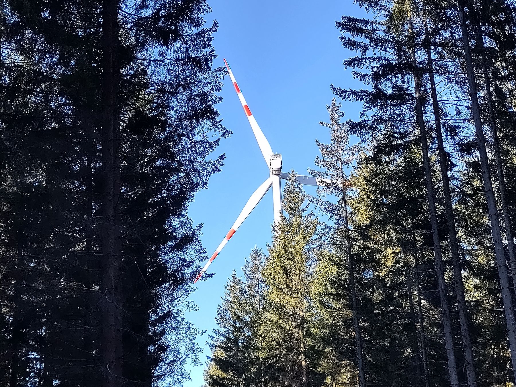 WEB Windpark Grafenschlag 20240127  (12).jpg