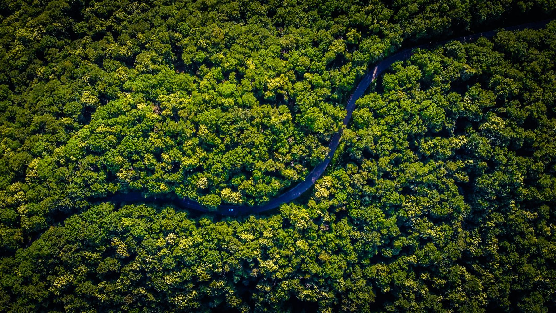 vlad-hilitanuAmazonas-unsplash.jpg
