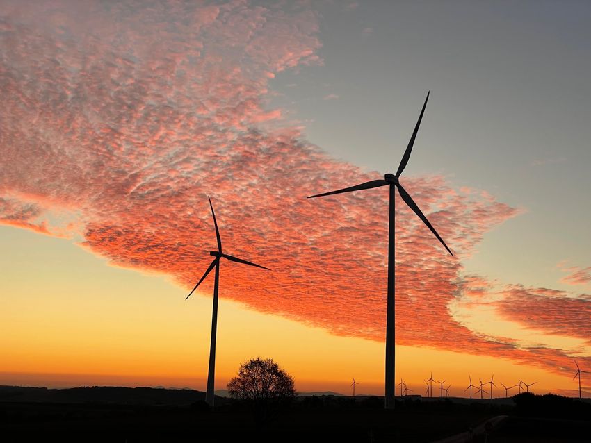 Windpark Rannersdorf.jpg