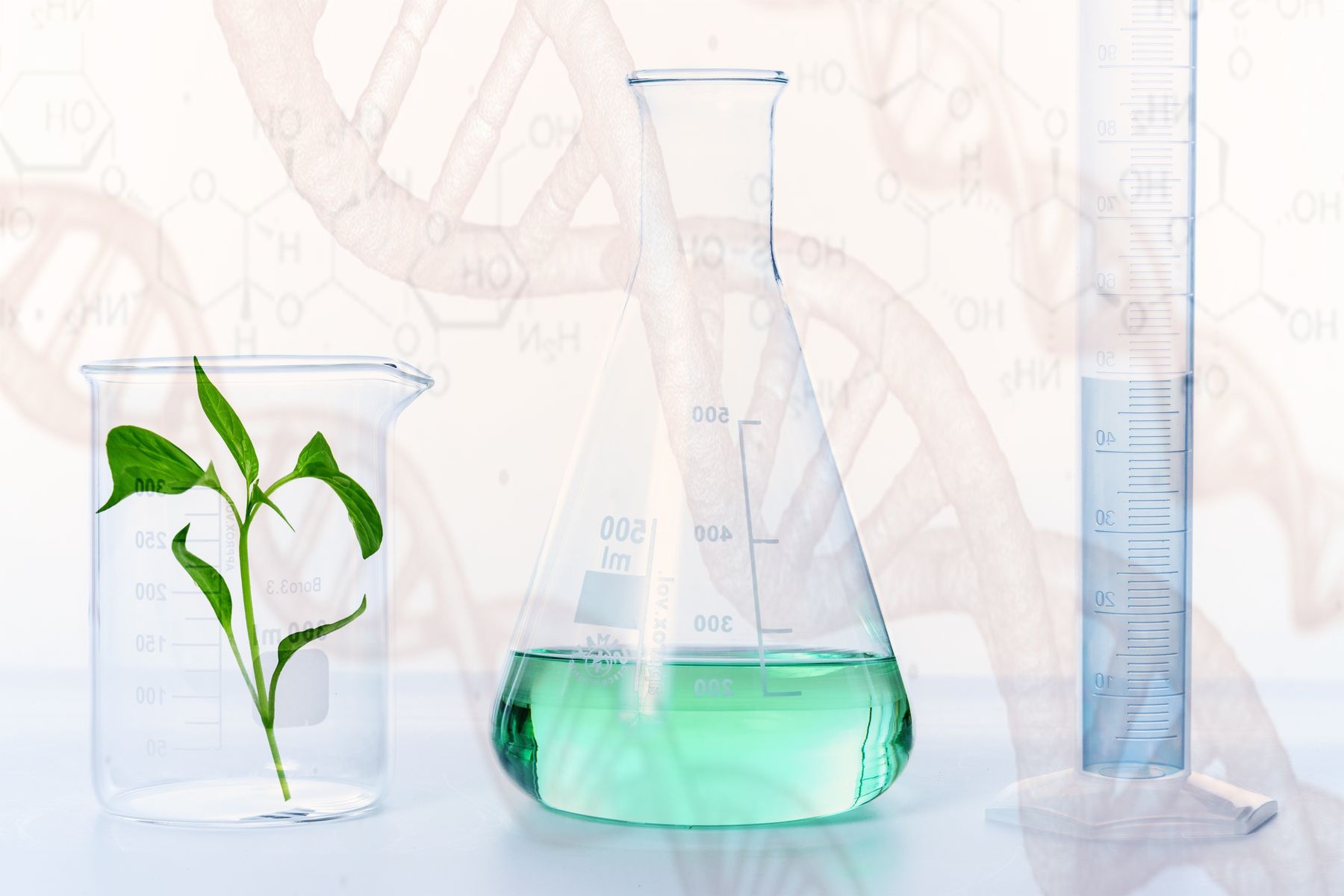 as photography-experiment-GMO.jpg