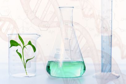 as photography-experiment-GMO.jpg
