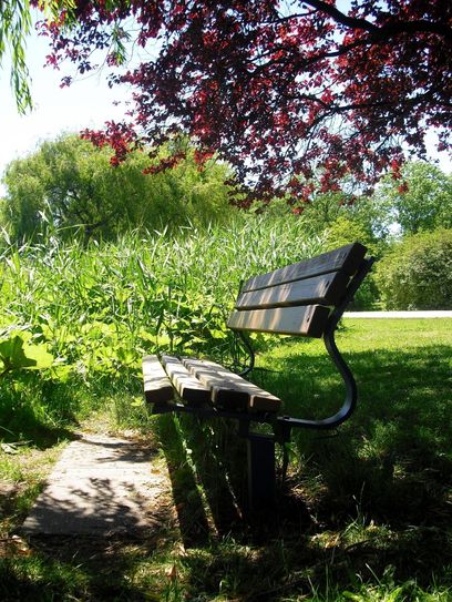 menita-idyll-SchattenplatzGrün.jpg