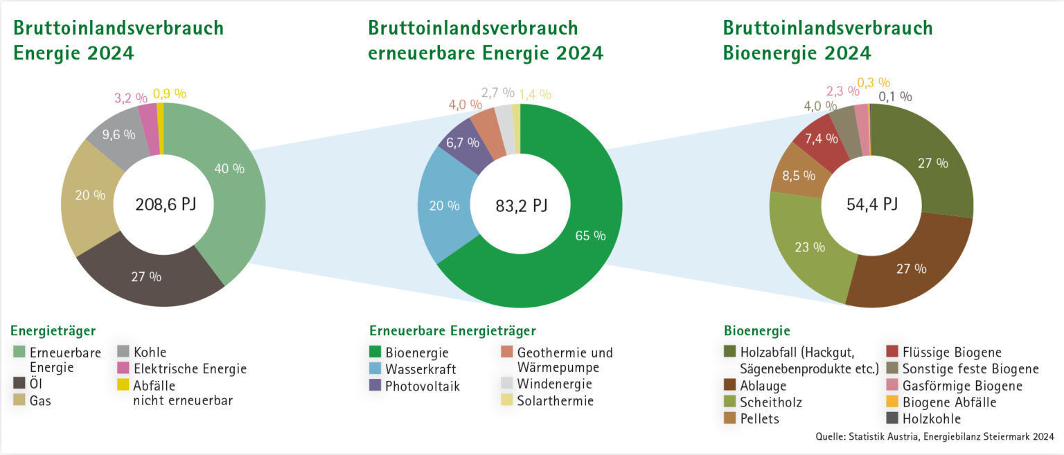 BIV-Stmk 2024-1536x657.jpg