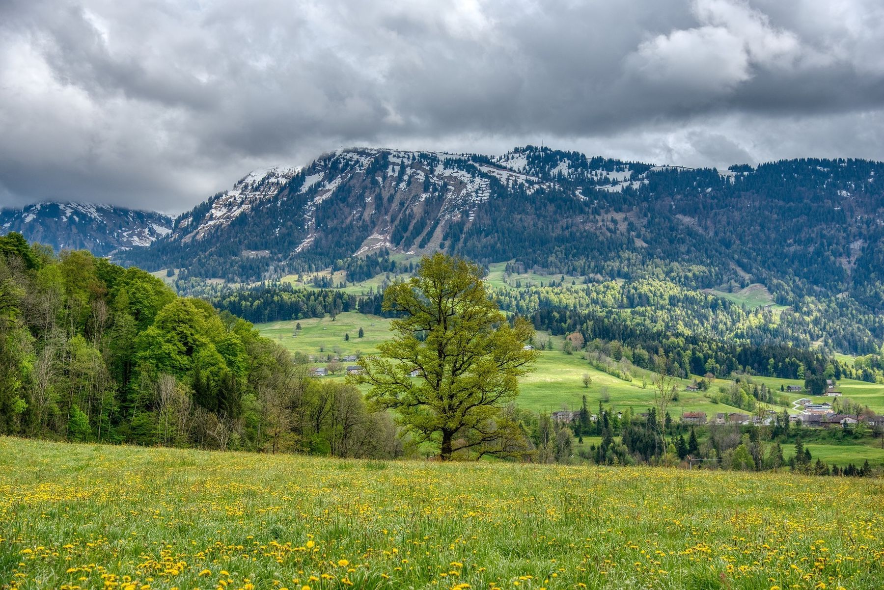 webentwicklerin-landschaft .jpg