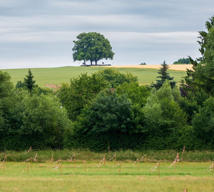 pexels-strannik-sk-32602153.jpg