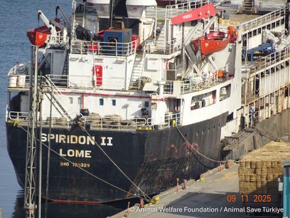 2025.11.09 Spiridon II docked in Bandirma.jpg