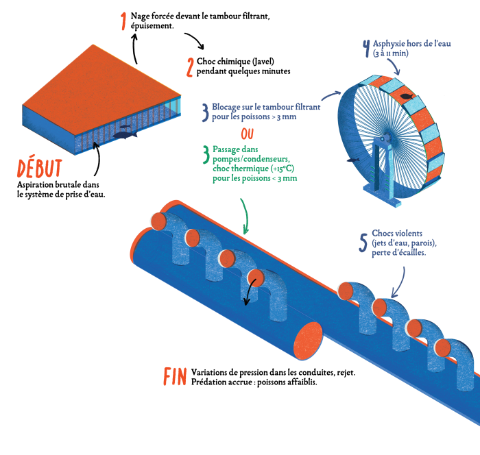 isometric parcours condense-2-94373.png