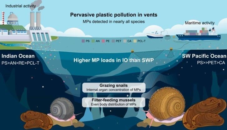 microplasticdeepsea.jpg