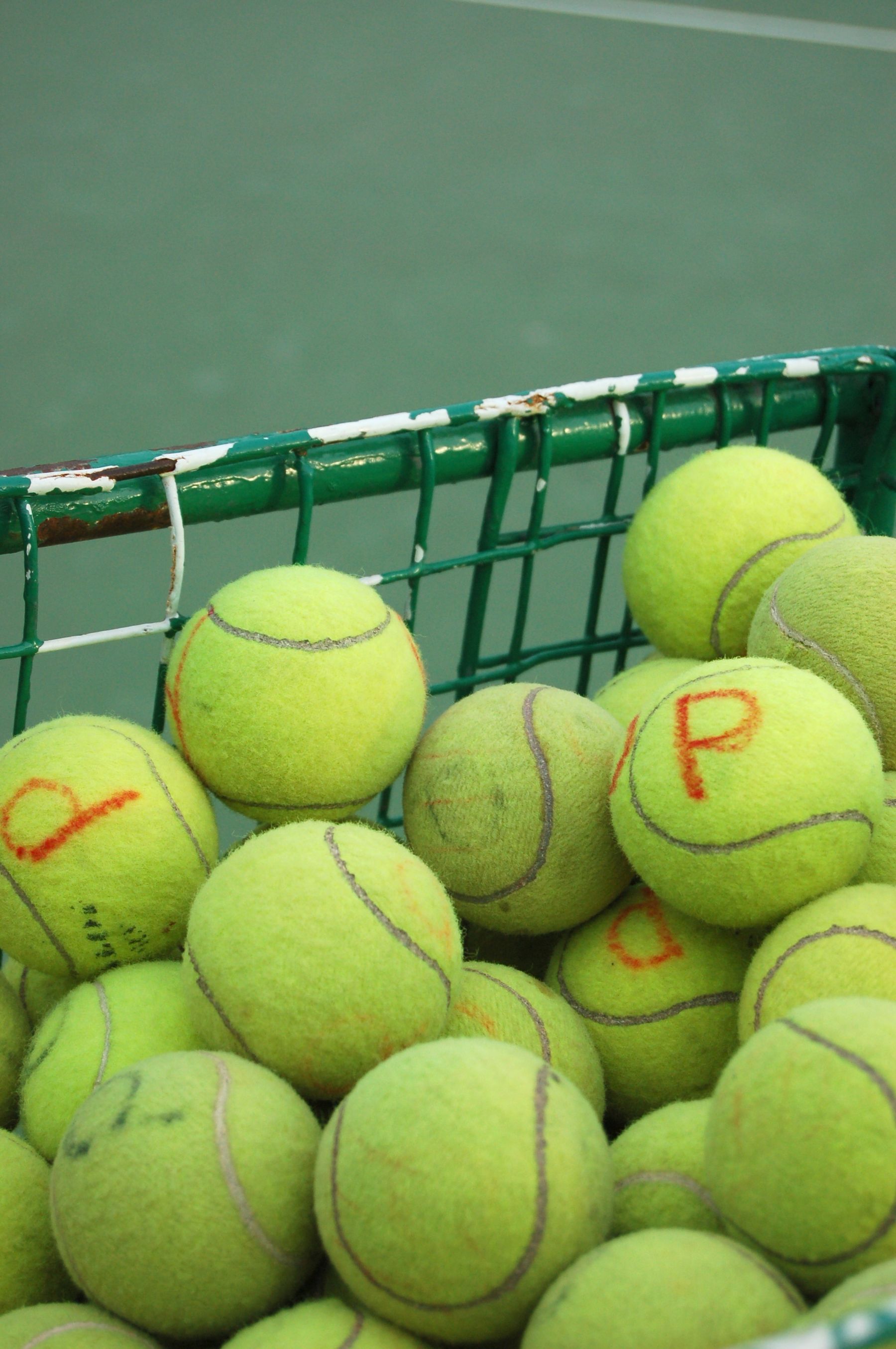 duangha-tennisball.jpg
