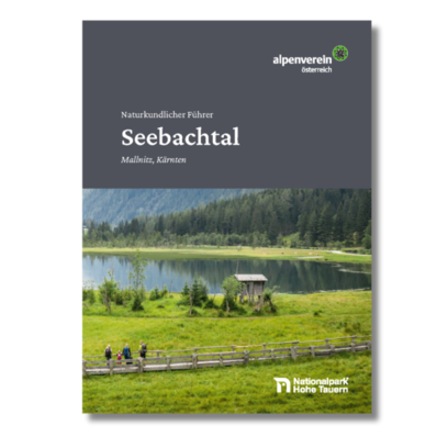 nkf seebachtal 2026.png