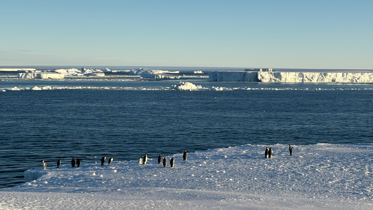 antarctic coast atka bay 20260211-zhiyong xie-quer.png