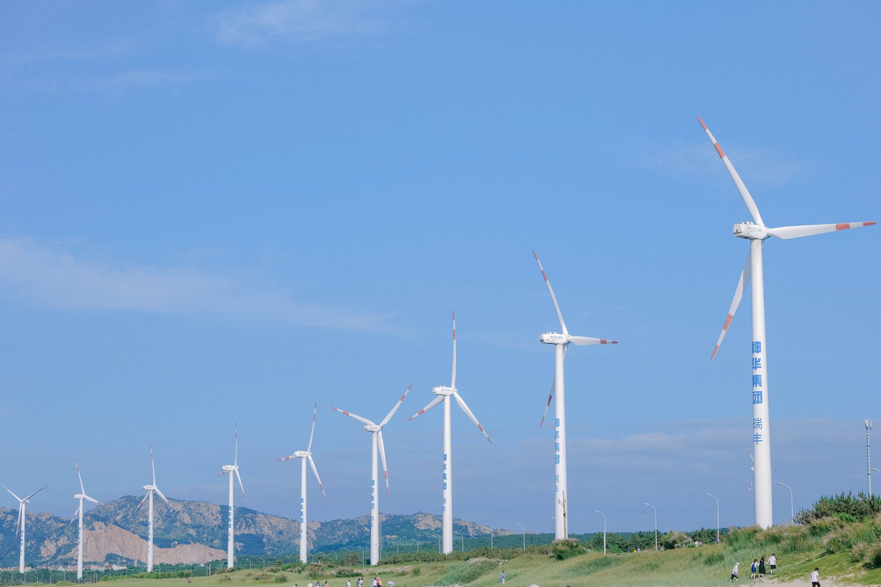 pexels-lee-starry-Windpark.jpg
