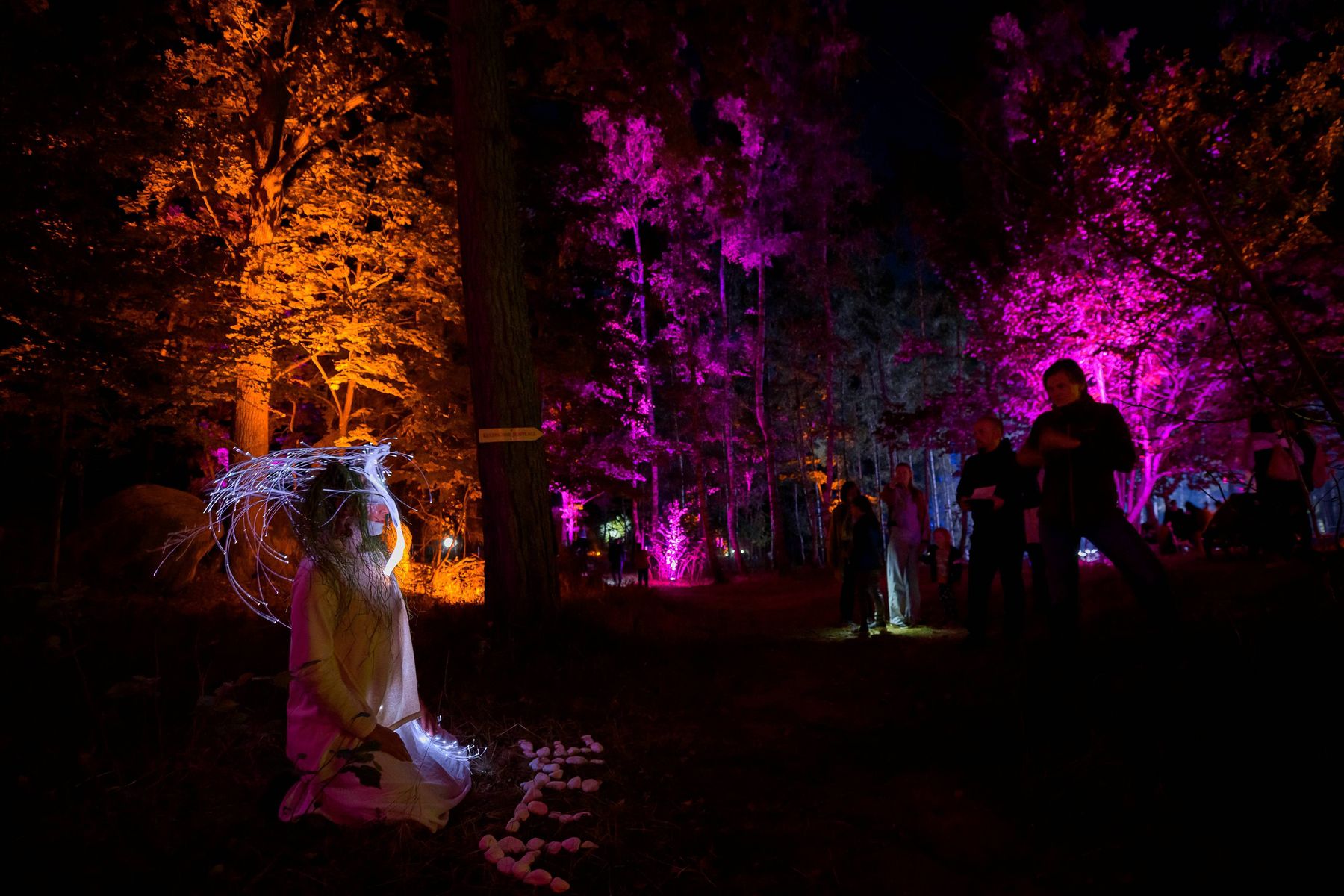 blockheide leuchtet 2025 - joanna pianka 023.jpg