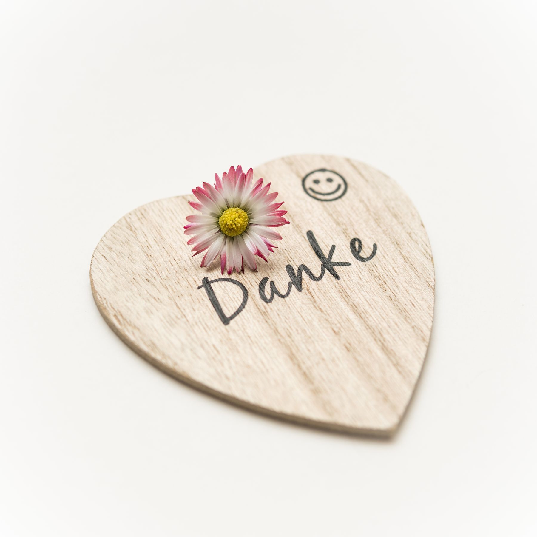 guvo59-heart-4983310.jpg