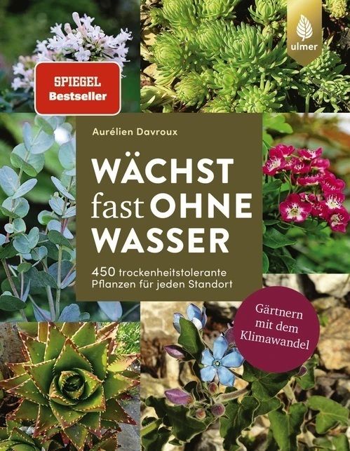 Ulmer WächstfastohneWasser.jpg